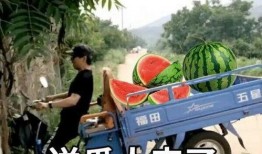 娱乐吃瓜集中地,这里是吃瓜群众的集中地！